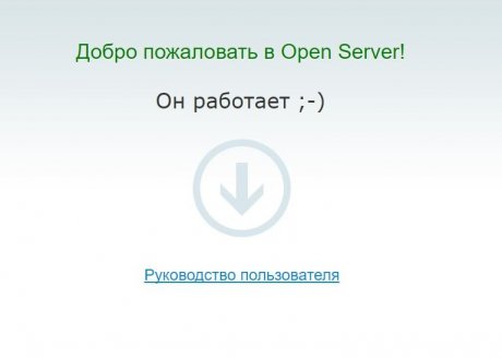 Open Server (2016)