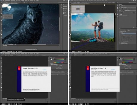 Adobe Photoshop CS6 Extended (2013)