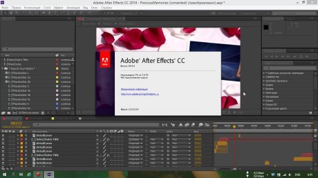 Adobe After Effects CC  (2015)