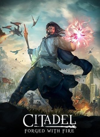 Citadel: Forged with Fire (2017)