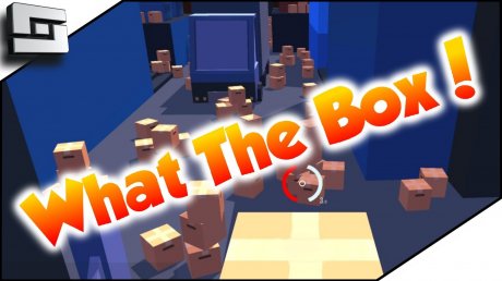 What the box? (2016)