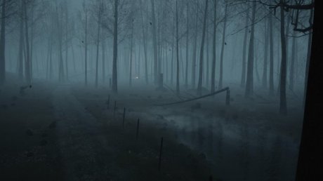 Dead Forest (2018)